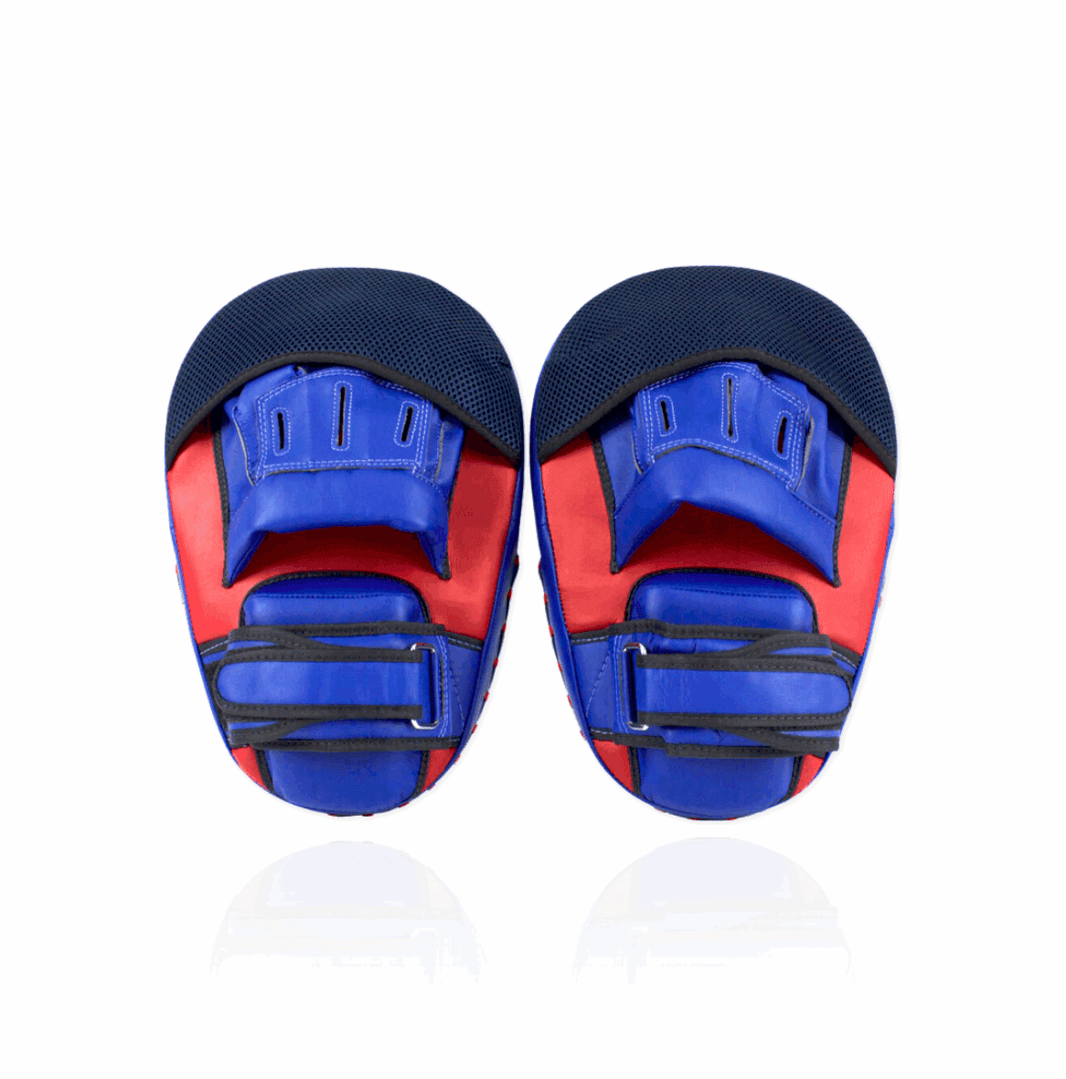 MAXIMISED FOCUS MITTS (FMV13)