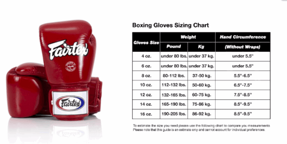 FAIRTEX THAI PRIDE BOXING GLOVES (BGV1)