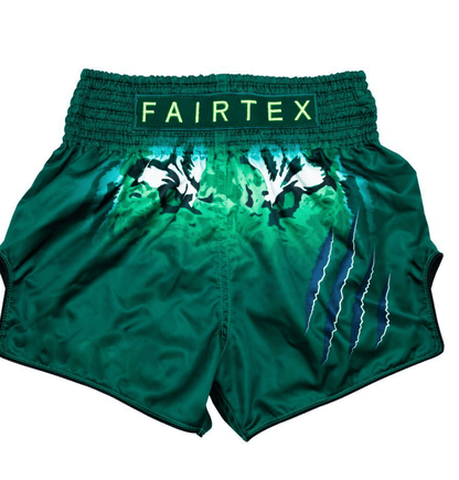 FAIRTEX TONNA MUAY THAI SHORTS (BS1913)