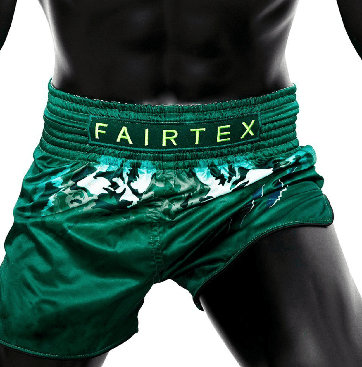 FAIRTEX TONNA MUAY THAI SHORTS (BS1913)