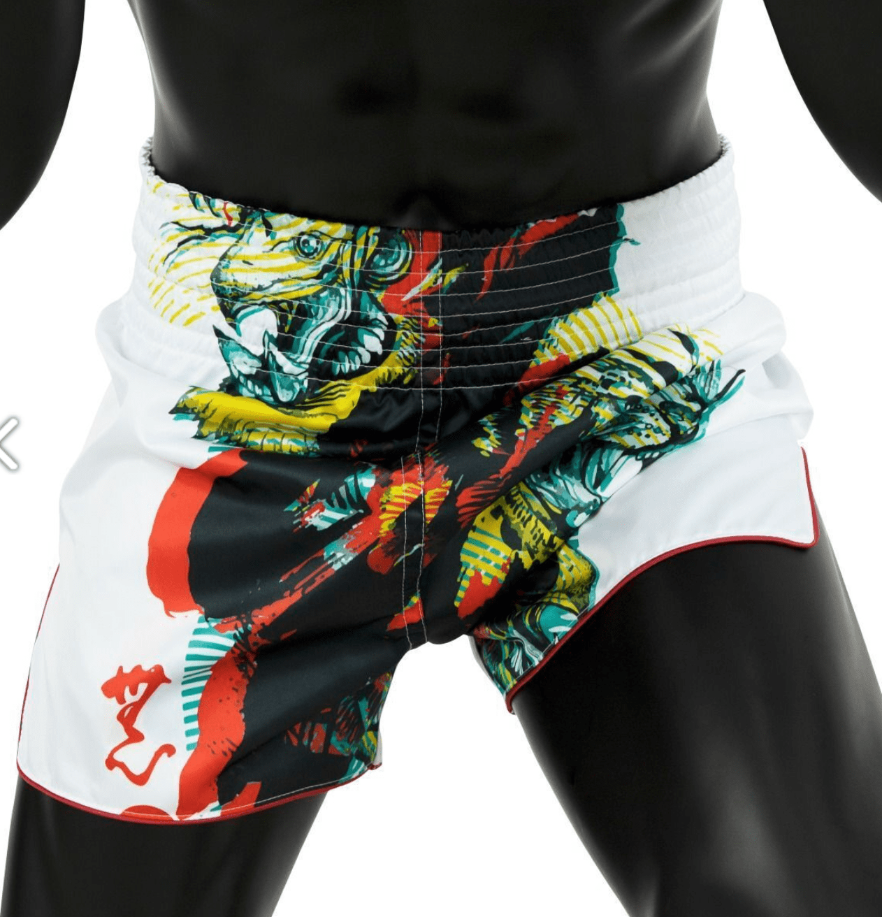 FAIRTEX X SATORU MUAY THAI SHORTS (BS1908)